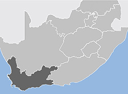 Western Cape region
