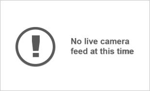 Camera 382--3